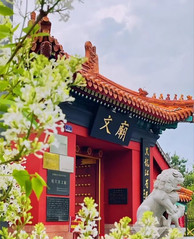 哈爾濱必打卡之文廟攻略。