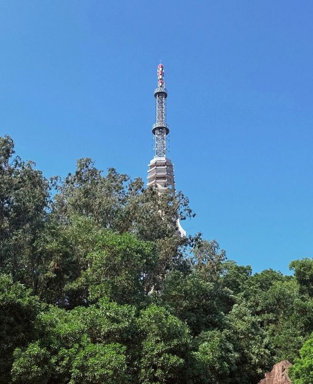 陽西冼太公園。