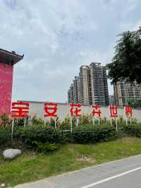 坪洲花市‖逛完花市來特產店買點。