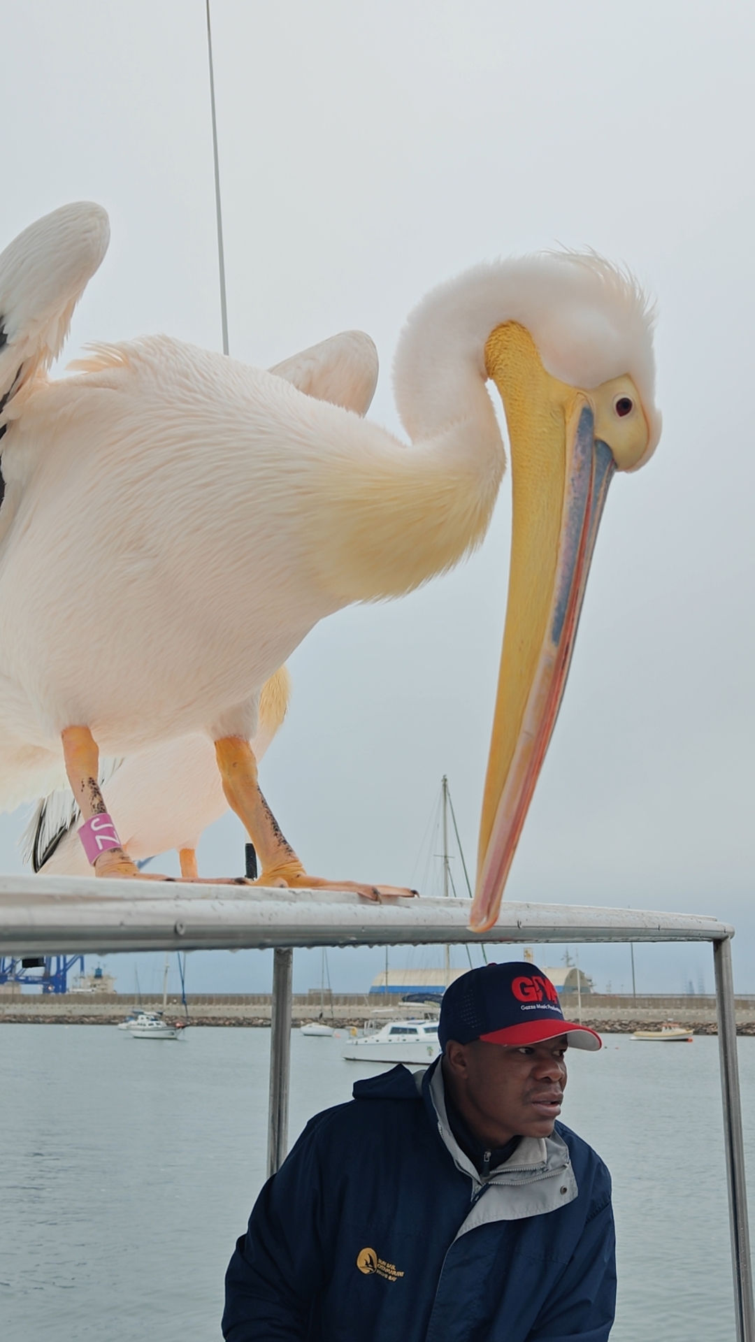 Walvis Bay, Namibia: Great time with the little cuties.