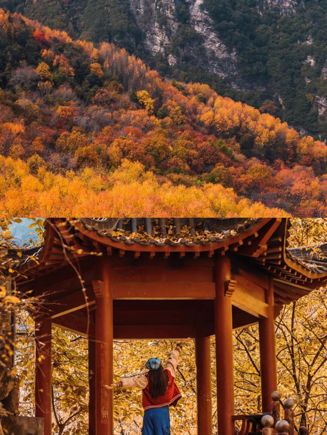 花14.5就能逃離西安被雲裡霧裡的秋天。