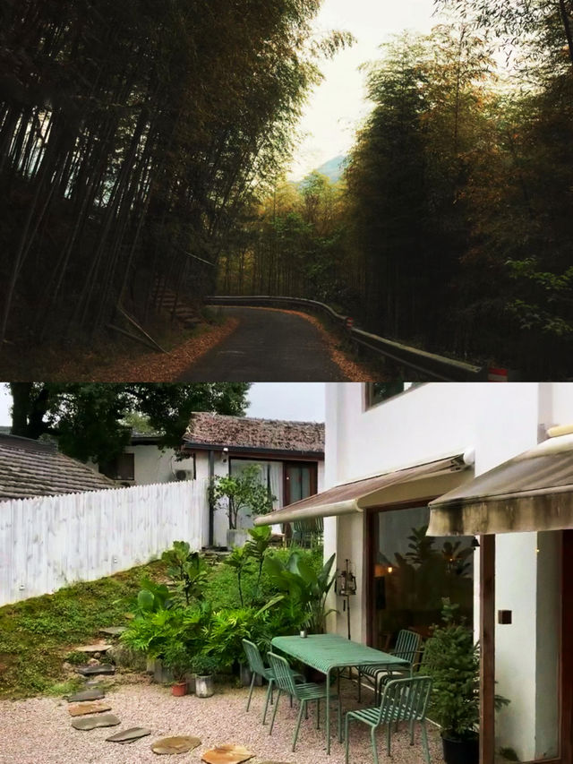 在杭州我發現了一家很棒的茶主題民宿。