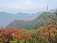 長安子午峪|免費爬山好去處。