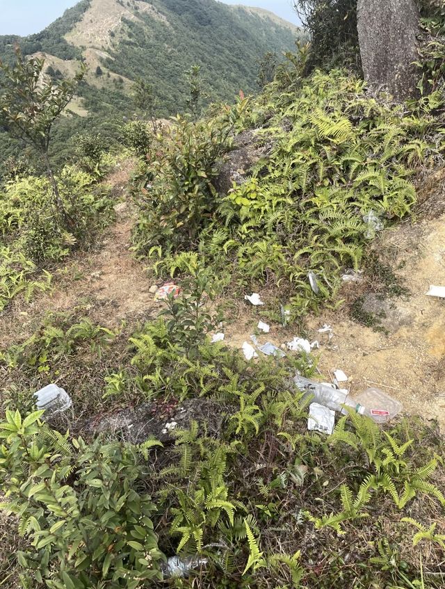 廣東一抹秋天竟都是綠色。