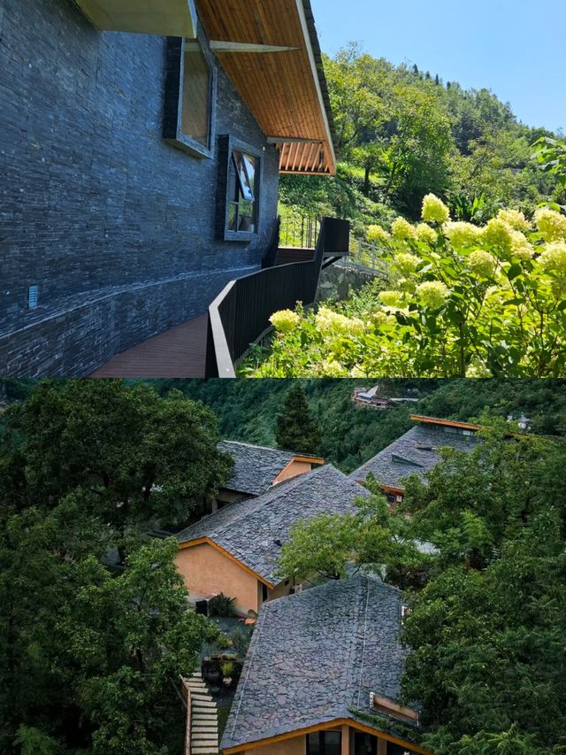 在山雲霧中隱居鄉里花婆婆。