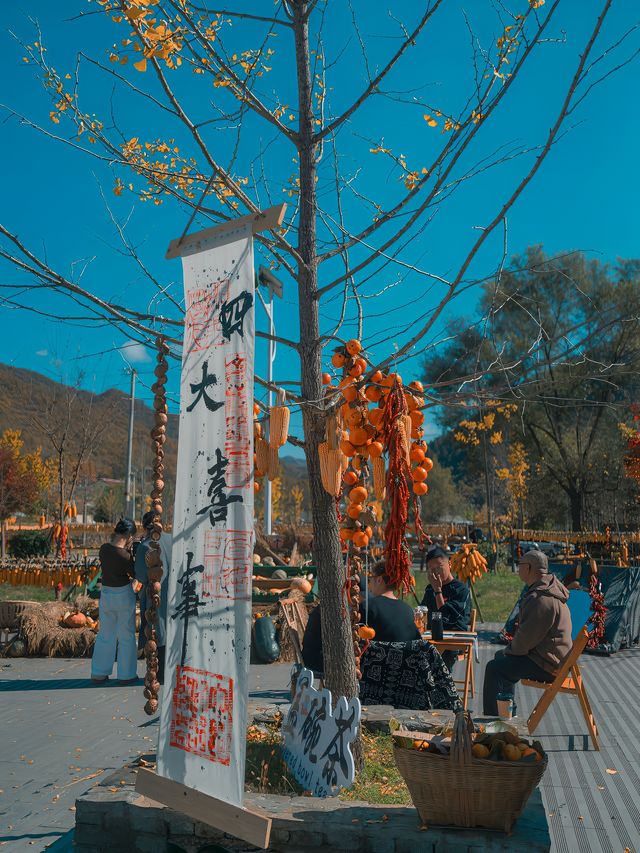 陝西晒秋｜五穀豐登晒秋忙。