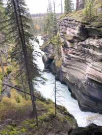 加拿大自然奇觀：Jasper National Park探秘指南