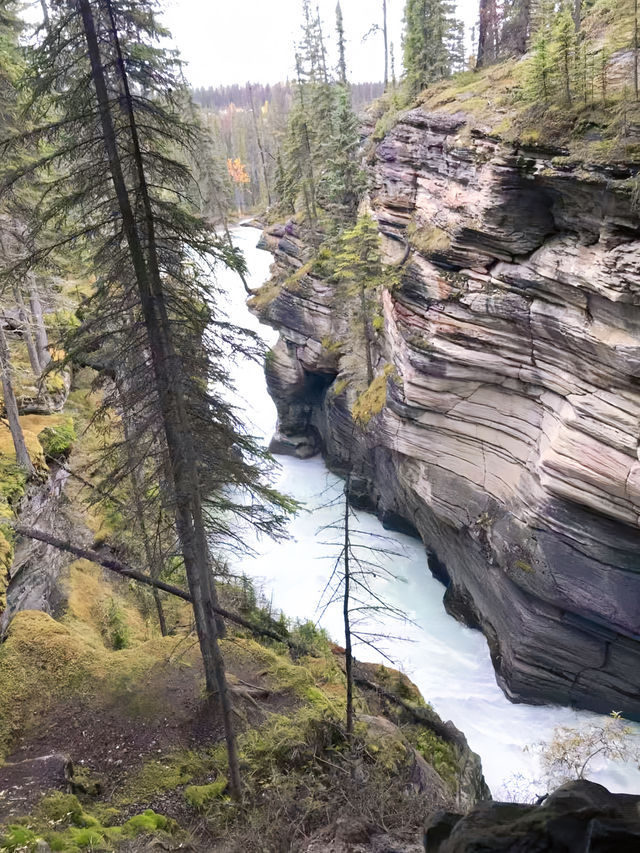 加拿大自然奇觀：Jasper National Park探秘指南