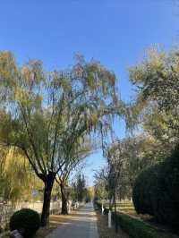 元大都遺址，三環邊秋色別錯過！。