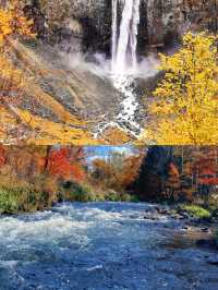 長白山看雪不來長白山會後悔！。