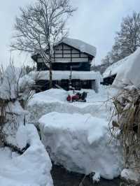 Experience the Enchanting Snowy Wonderland of Japan