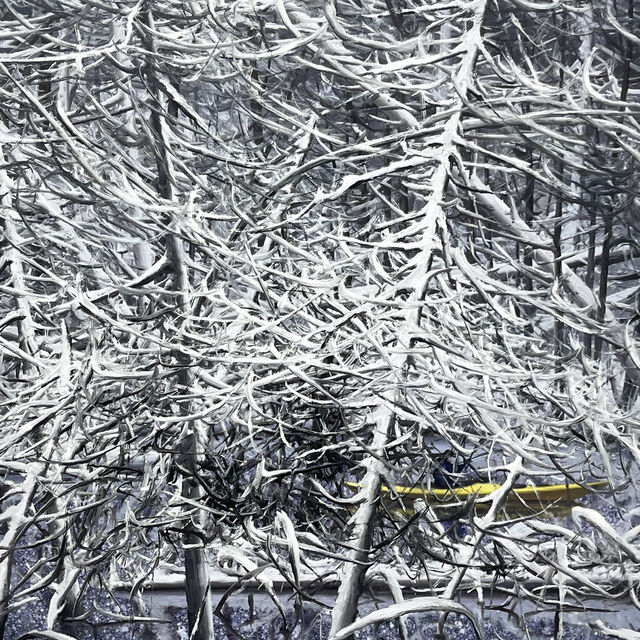 冷酷仙境,極地孤行 冷酷仙境,極地孤行