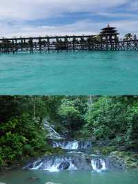 斗湖山公園：探秘世界最高的熱帶雨林樹。