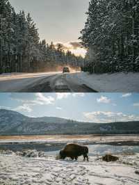 How Stunning is Yellowstone in Winter?