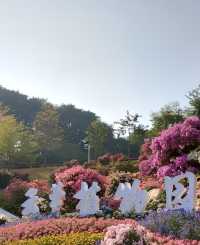 廣州白雲｜雲蘿植物園