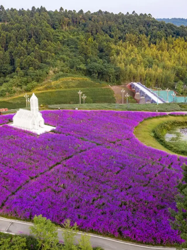 초인기 멱산 2일 여행 코스 필독