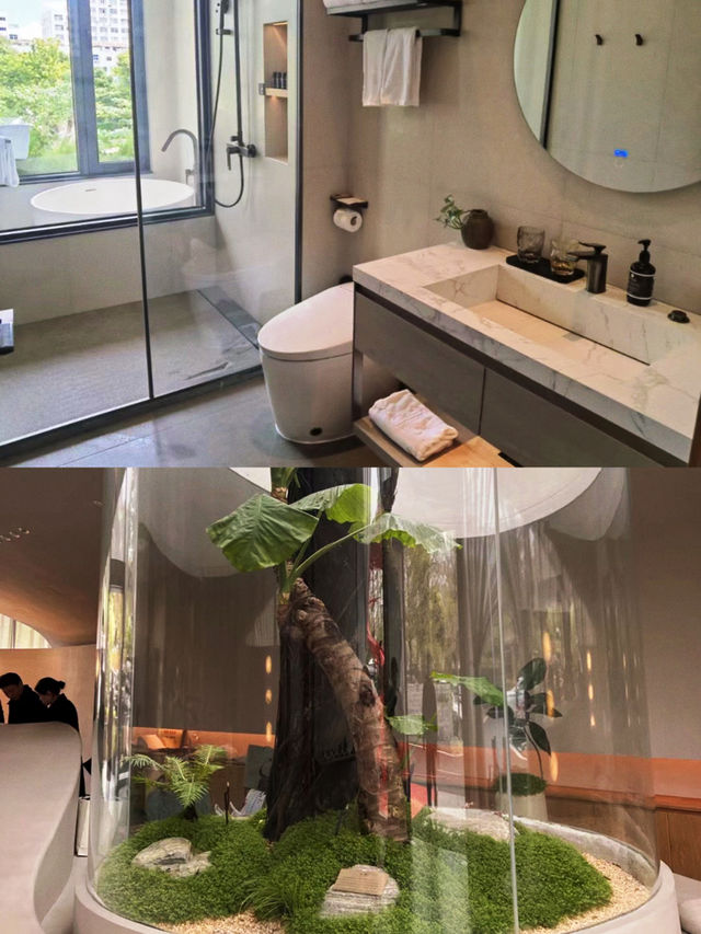 潮州周末住進樹林裏看星星