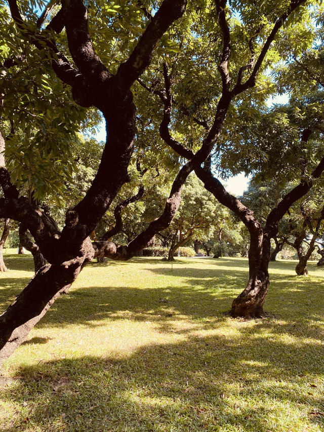 荔枝公園