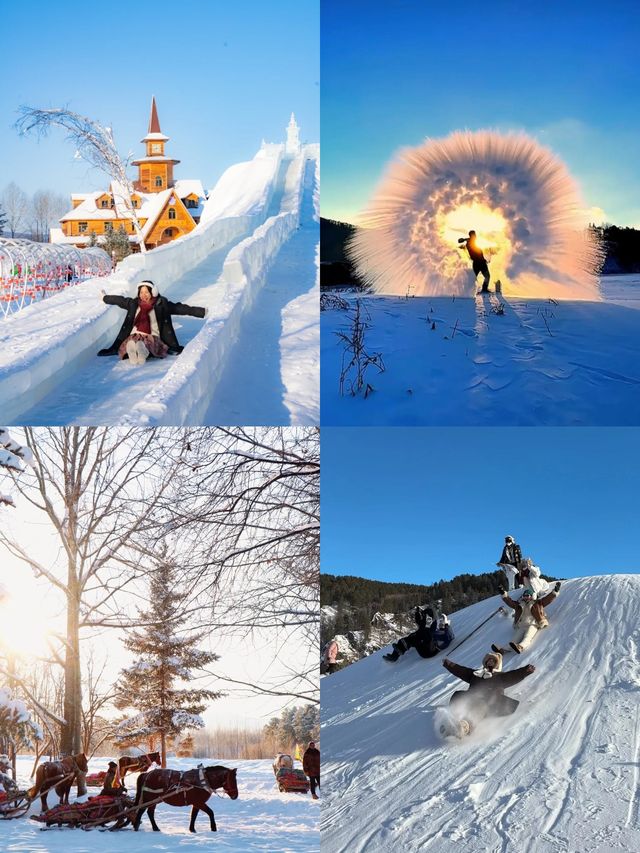 漠河4天|坐着雪國列車去追極光太絕了。 漠河4天|坐着雪國列車去追極光太絕了。