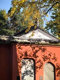 3日衢州遊 元旦出行正當時