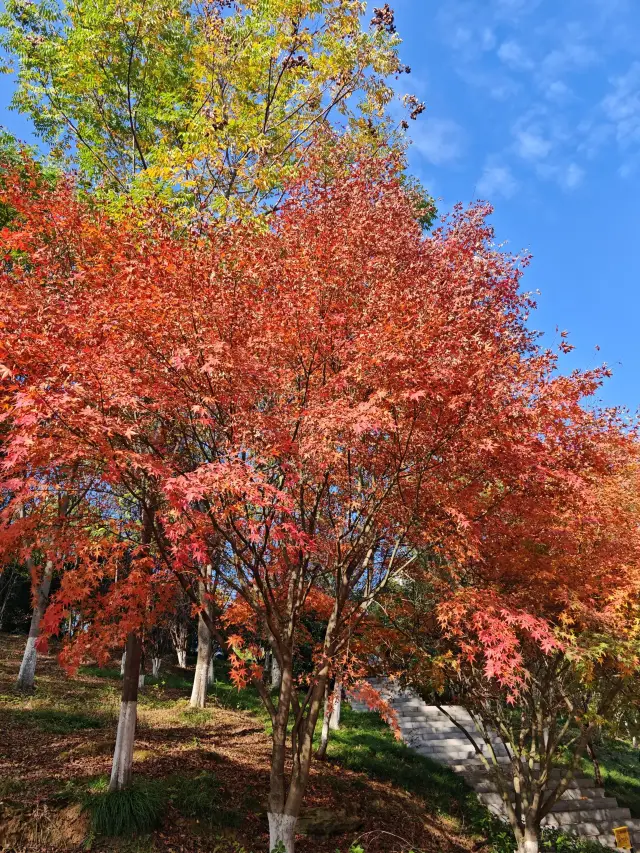 3-Day Yichang Itinerary