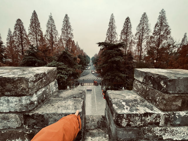 冬|故宮遺蹟