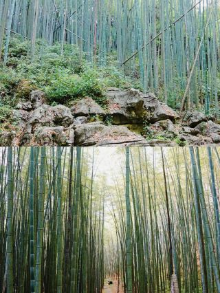 Explore the natural beauty of Wufeng Mountain in Dazhou