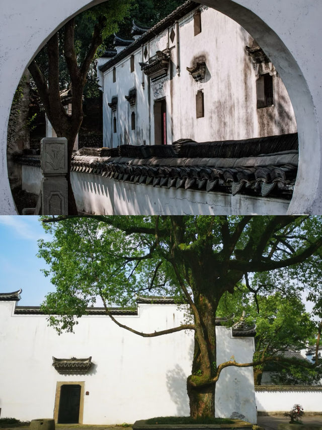 打卡，龍游，民居苑