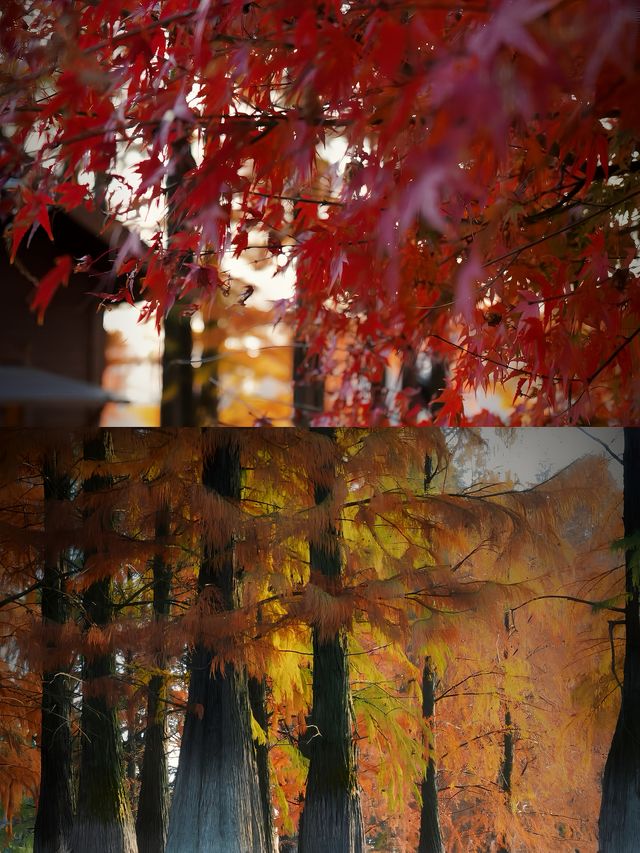蘭溪蘭湖景區