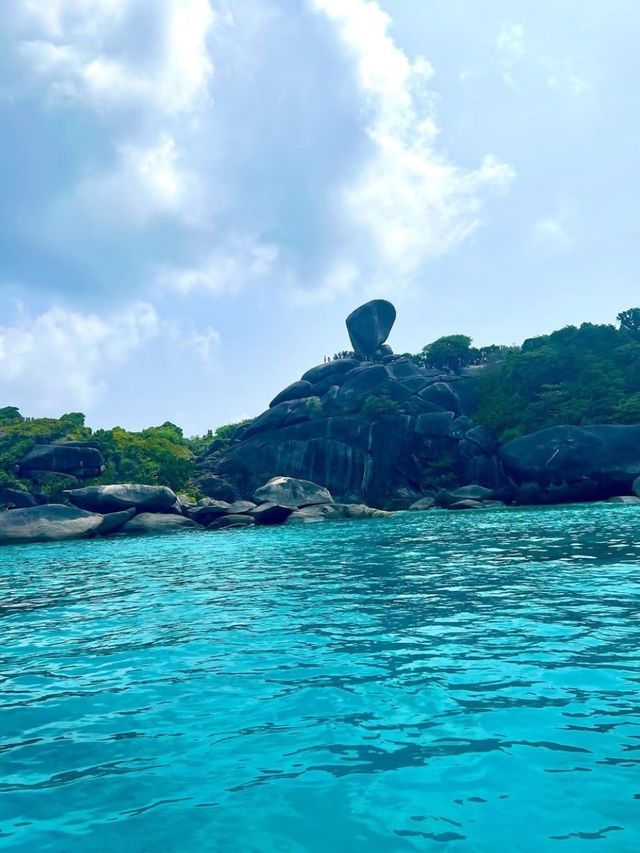 普吉島潛水｜竟有鯊魚出沒！來自藍色大海的傳說🪸