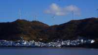 衢山島——意料之外的收穫