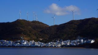 衢山島——意料之外的收穫