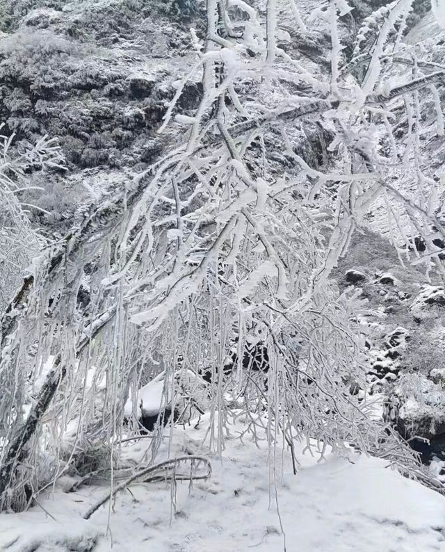 彭州燕子溝