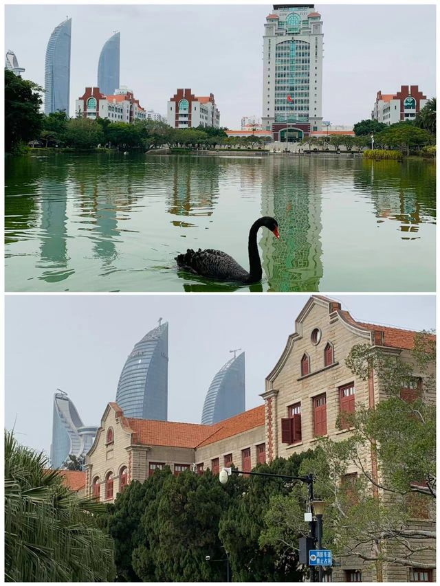 廈門之旅已完成，真的不建議1月前往