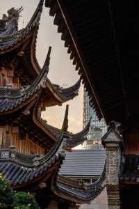 寧波七塔寺銀杏終於要黃了還有0r蓋章