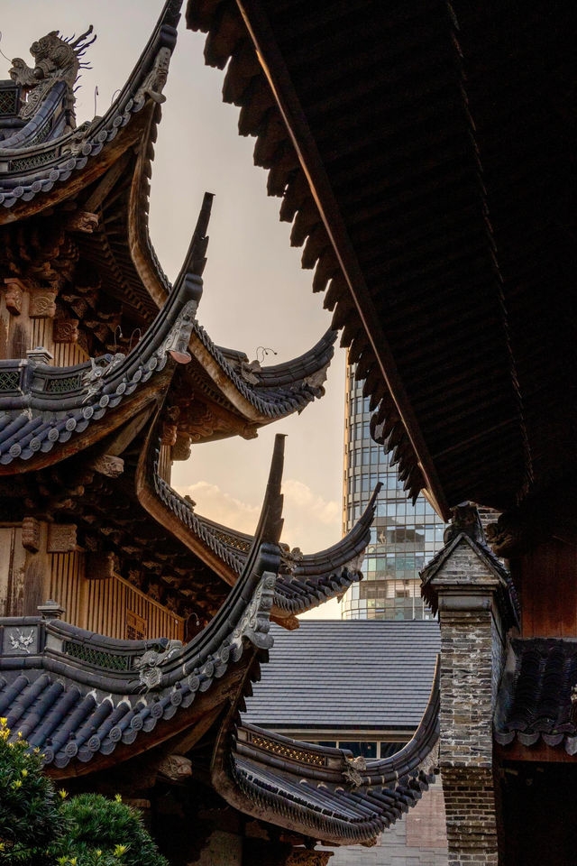 寧波七塔寺銀杏終於要黃了還有0r蓋章