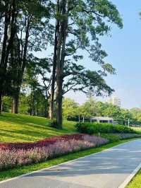 被這個公園治癒…周末遛娃 散步必逛四海公園