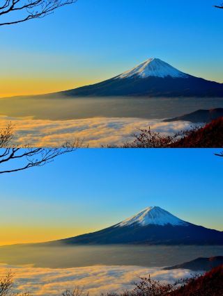 Saitama City Travel Guide