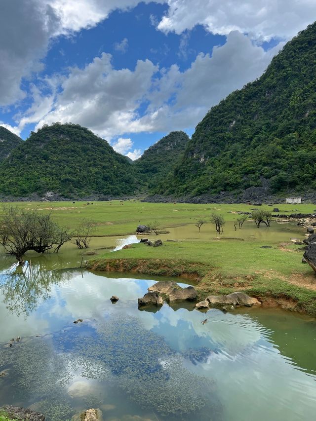 廣西百色隴卡賴｜當新疆草原遇上桂林山水