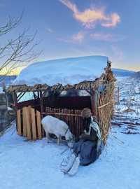 先出發再說｜北京出發週末往返橫道河子看雪！