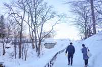 誤入童話世界北海道羊蹄山下的名水公園