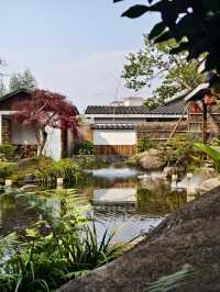 《恭城秋日漫記：柿紅與茶香織就的慢時光》