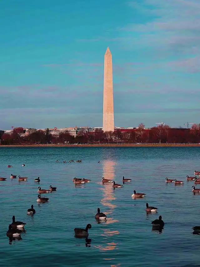 9-Day USA Tour: The Ultimate Guide