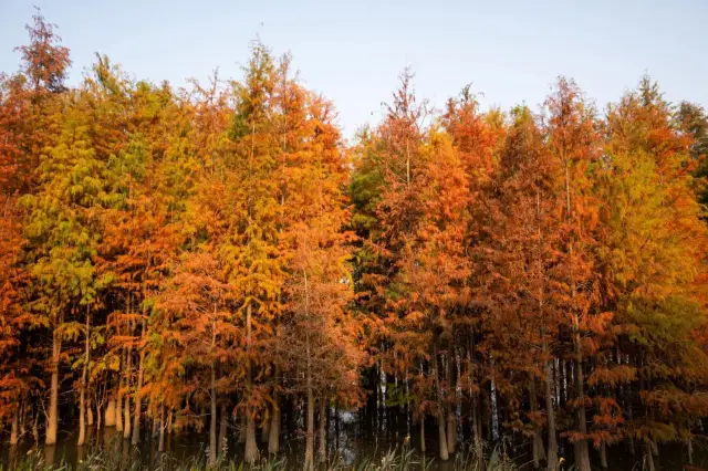 Zhuhai Huangyang River