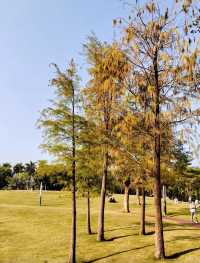 不愧是富人後花園，這很深圳
