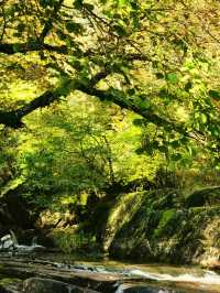 伊春3日探秘 深入森林尋冬日魔法