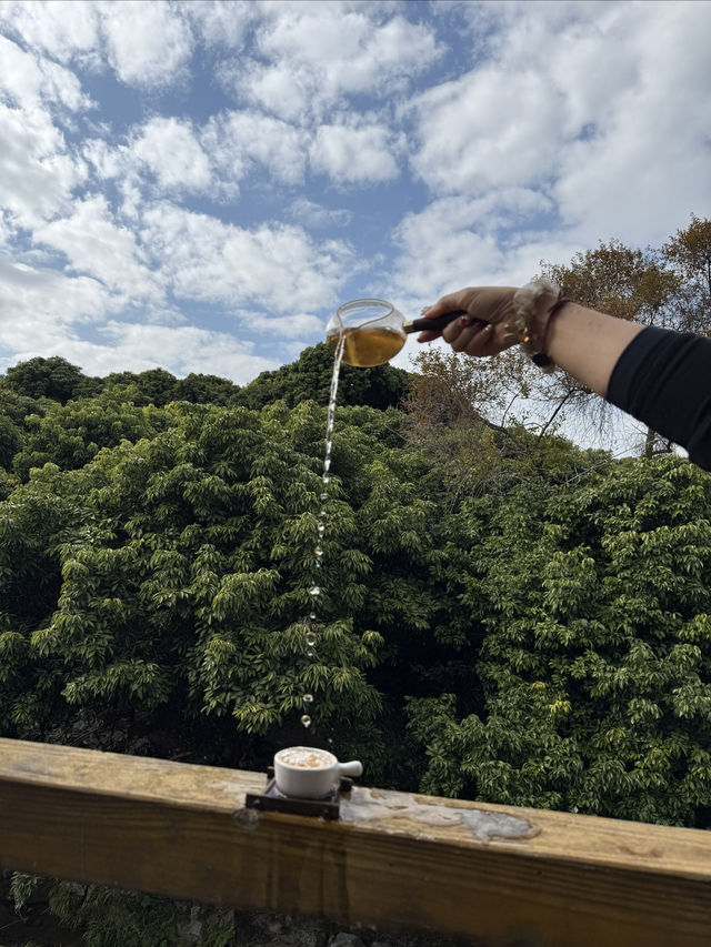 廣州從化宮崎駿風麥田打卡全攻略 |
