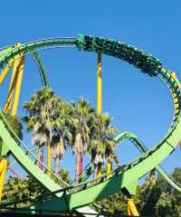 Experience the Thrill of Six Flags Magic Mountain