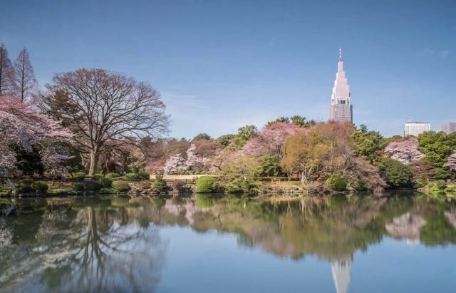 東京：傳統與現代交融的夢幻之都