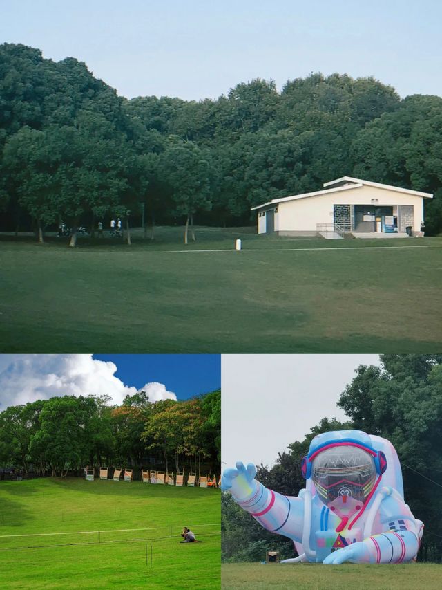 2025年總要同好朋友去趟蕪湖吧